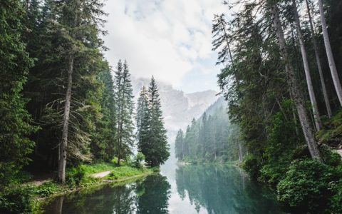 老峨山旅游攻略一日游,老峨山旅游攻略图