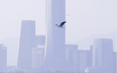 十一月厦门旅游攻略自由行,十一月去厦门旅游攻略路线