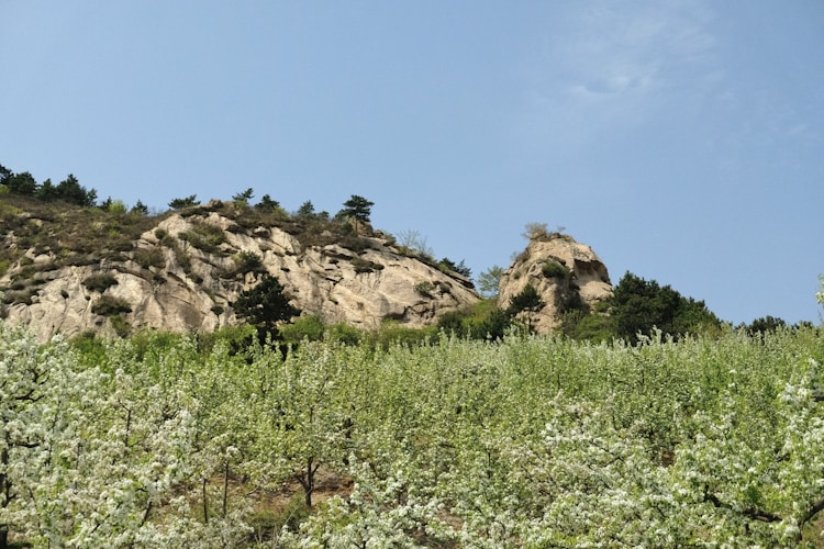 晋州旅游线路,山西晋州旅游插图2