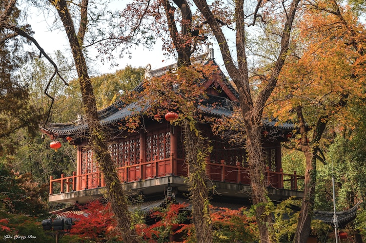 南京去西塘旅游攻略,南京开车去西塘要多久插图2