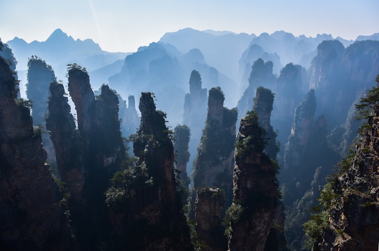 张家界旅游局官网查询,张家界旅游局官网电话插图2