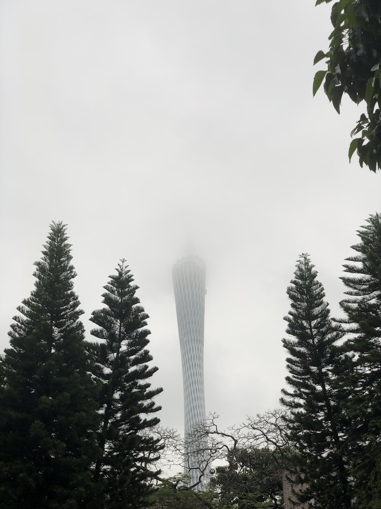 广州去泰山怎么坐车,广州去泰山旅游多少钱插图2