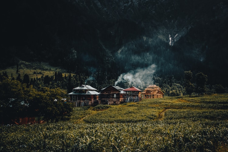 陕西最美乡村旅游2021,陕西美丽乡村旅游攻略插图