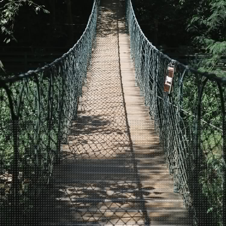 西双版纳基诺山景区,西双版纳旅游攻略景点大全插图2