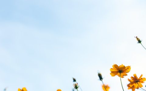 南京春节免费旅游攻略,南京春节假期免费景点