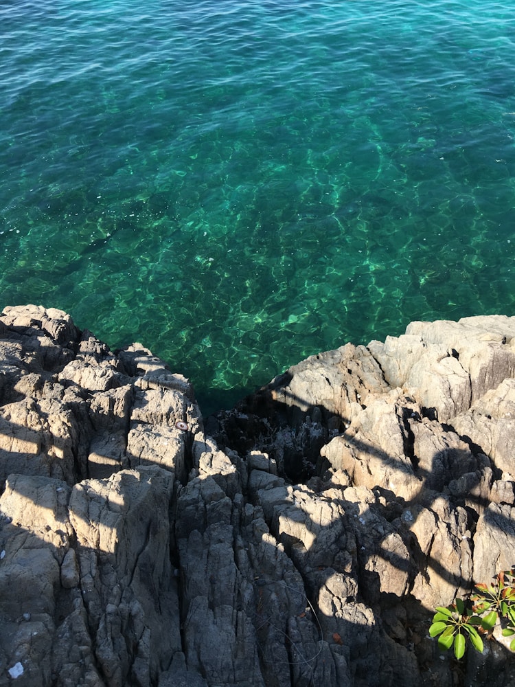 芽庄旅游攻略 越南,芽庄旅游攻略五日游价格插图