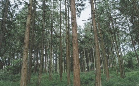武隆旅游攻略浙江路线图,武隆旅游景点门票价格