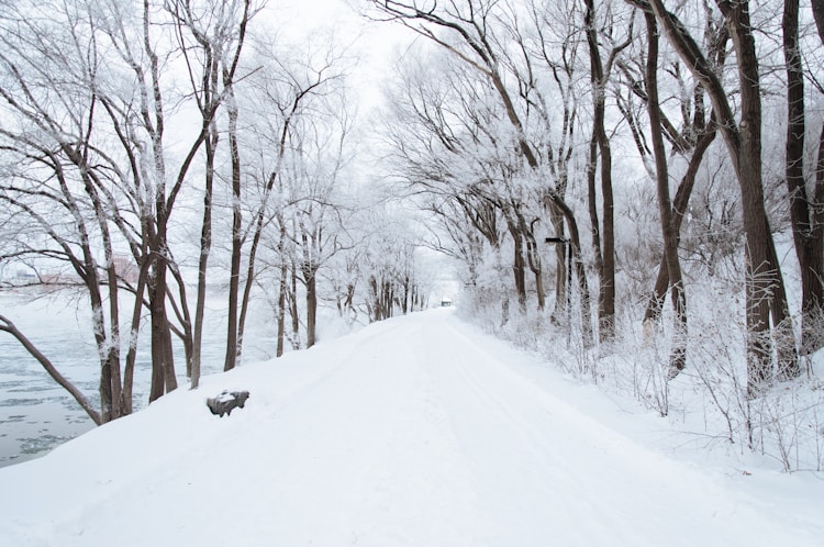 石卡雪山门票多少钱,石卡雪山风景区插图2