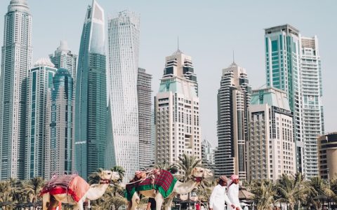 内蒙古阿拉善地图,内蒙阿拉善驼奶粉什么价格