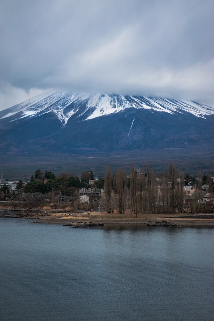 日本旅游几月份最好,去日本淡季是什么时候插图2