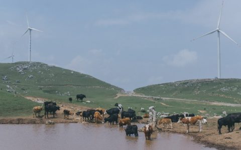 贵州主要旅游景点分布图,贵州主要旅游景点分布
