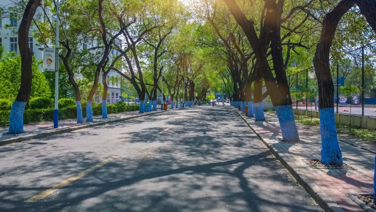 哈尔滨的旅游景点都有哪些冰雕之城,哈尔滨的旅游景点都有哪些以及小吃插图2