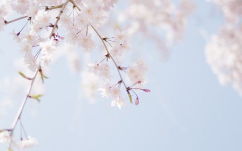 春节去哪里旅游暖和便宜,春节去日本旅游价格