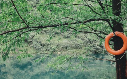 浙江旅游农家乐景点,浙江旅游