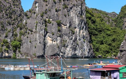 越南旅游需要签证吗最新消息,越南旅游得多少钱一个月