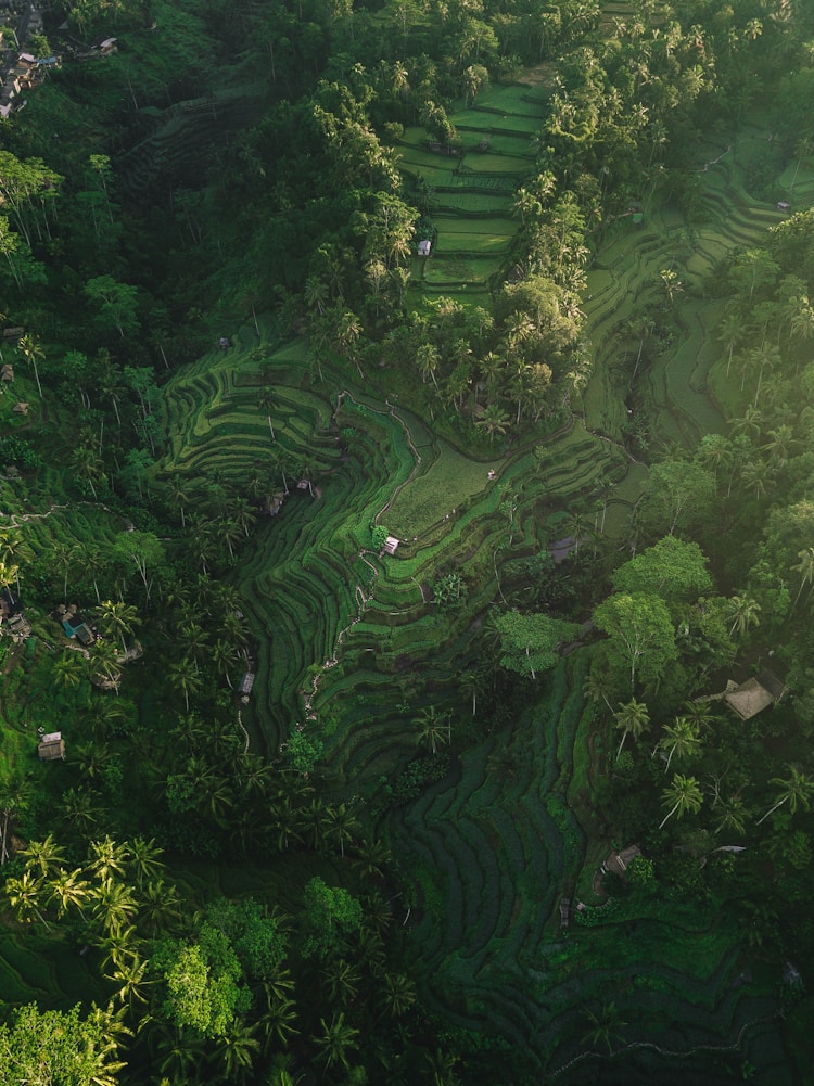 长春到巴厘岛旅游团,长春到巴厘岛机票插图2