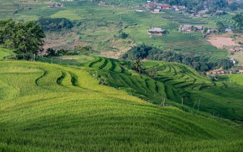 乡村旅游失败案例及分析,乡村旅游成功案例分析