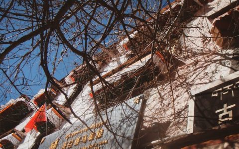 拉萨旅游公司有哪些公司,拉萨旅游总公司