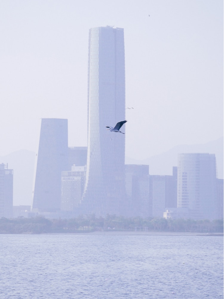 厦门帕劳旅游景点介绍,厦门帕帕烘焙插图