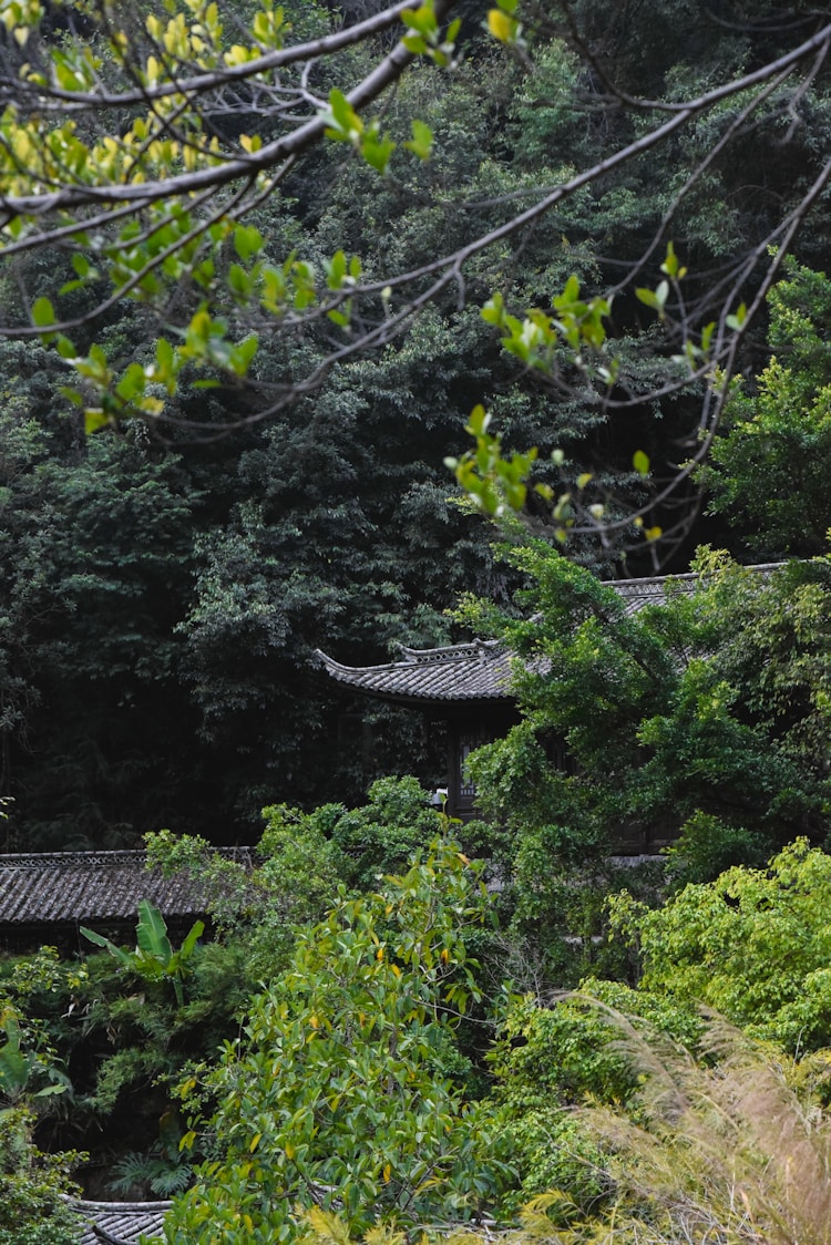 云南旅游糟糕,云南旅游发生的事情插图