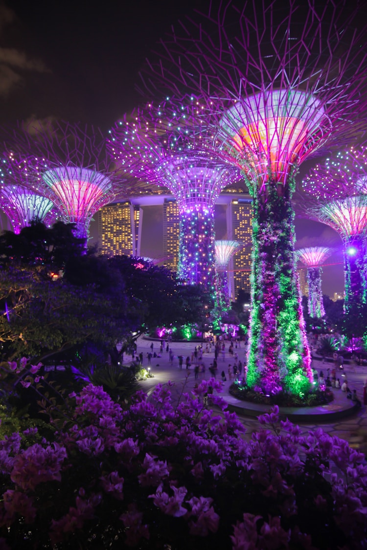 旅游节门票免费,旅游节门票优惠活动插图