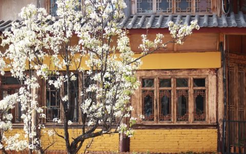 去丽江旅行,丽江旅游自由行攻略