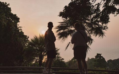 某旅游团共有男游客29人,某旅游团共7人