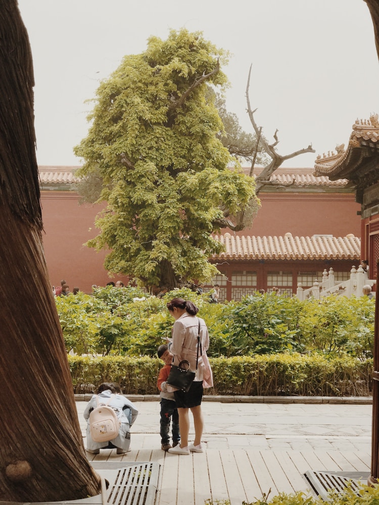 北京旅游故宫攻略路线,北京旅游穷游攻略插图2