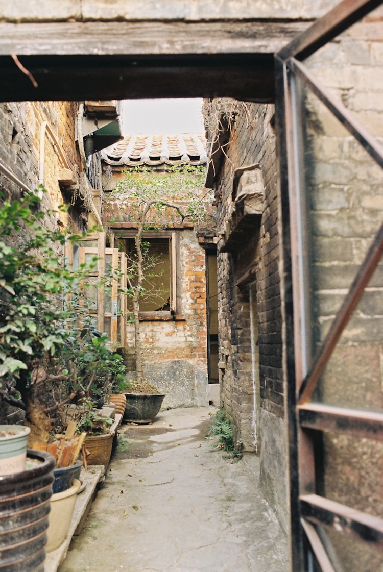 佛山市旅游区排名,佛山市旅游区土豪村插图