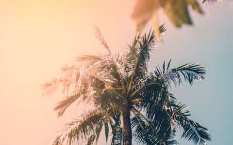 夏天旅游打卡,夏天 旅游