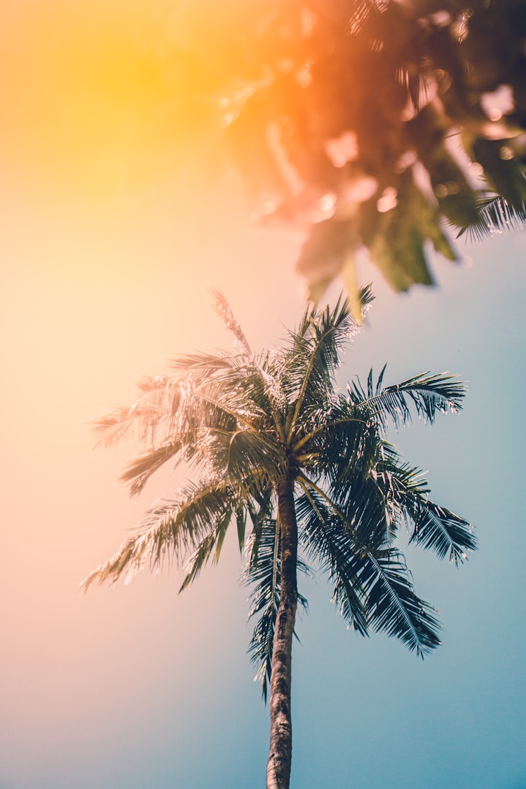 夏天旅游打卡,夏天 旅游插图