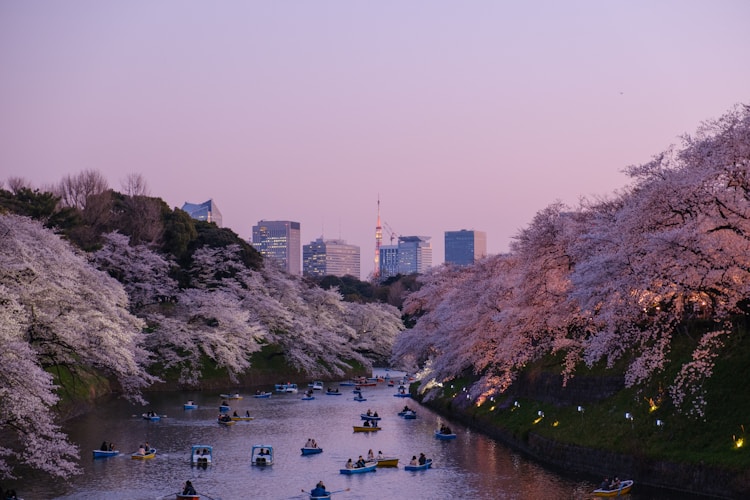 日本6月旅游穿什么衣服合适,日本6月旅游推荐插图