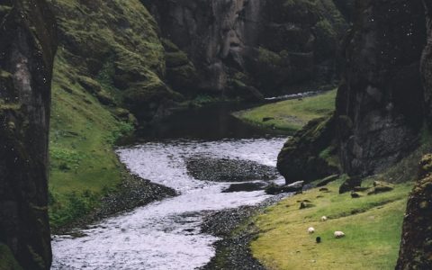 五龙河旅游风景区门票,五龙河门票价格