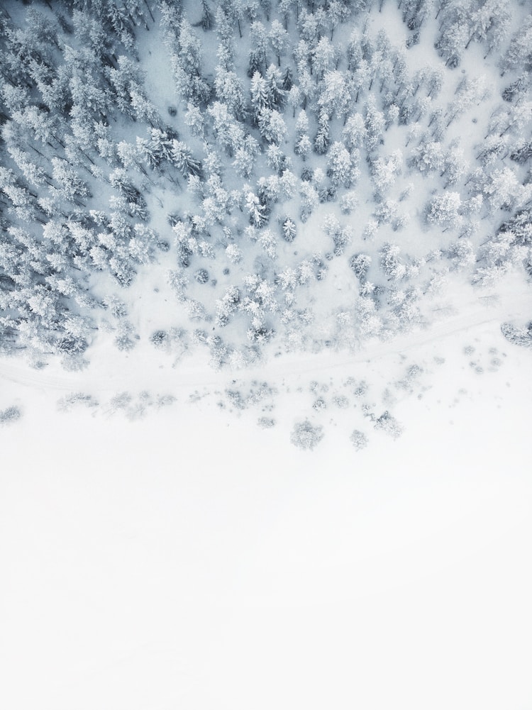 西岭雪山2日游团购,西岭雪山门票优惠政策2020插图