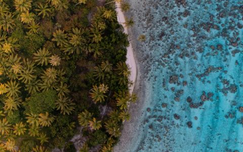 大溪地有什么玩的,大溪地自由行旅游攻略