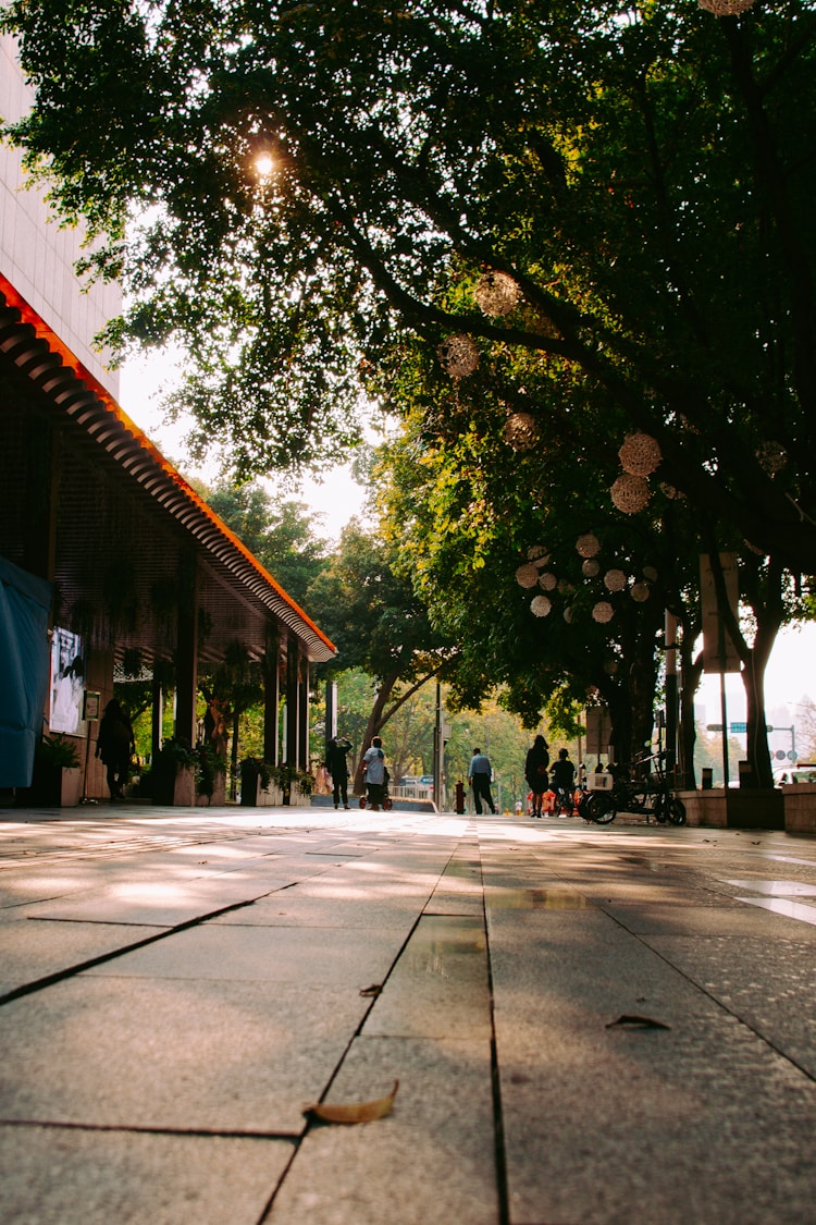 深圳旅游专线巴士时间表,深圳旅游1号线公交路线插图