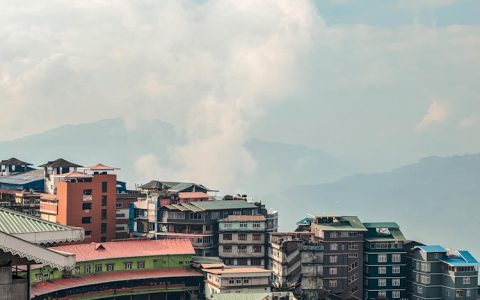 旅游业近几年的发展情况,2020年旅游发展现状
