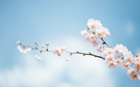 春节旅游比较好国外,春节国外旅游推荐理由