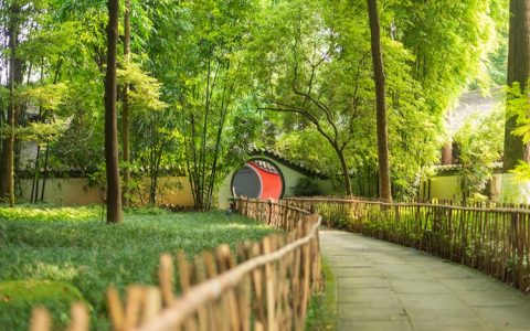 成都七天旅游,成都七天旅游计划及花费