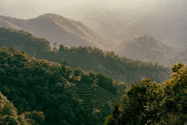 杭州旅游下雨怎么办,杭州旅游住哪里比较方便游玩插图2
