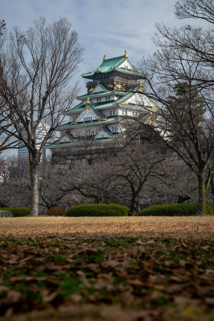 日本旅游6日游多少钱,日本旅游7天多少钱插图