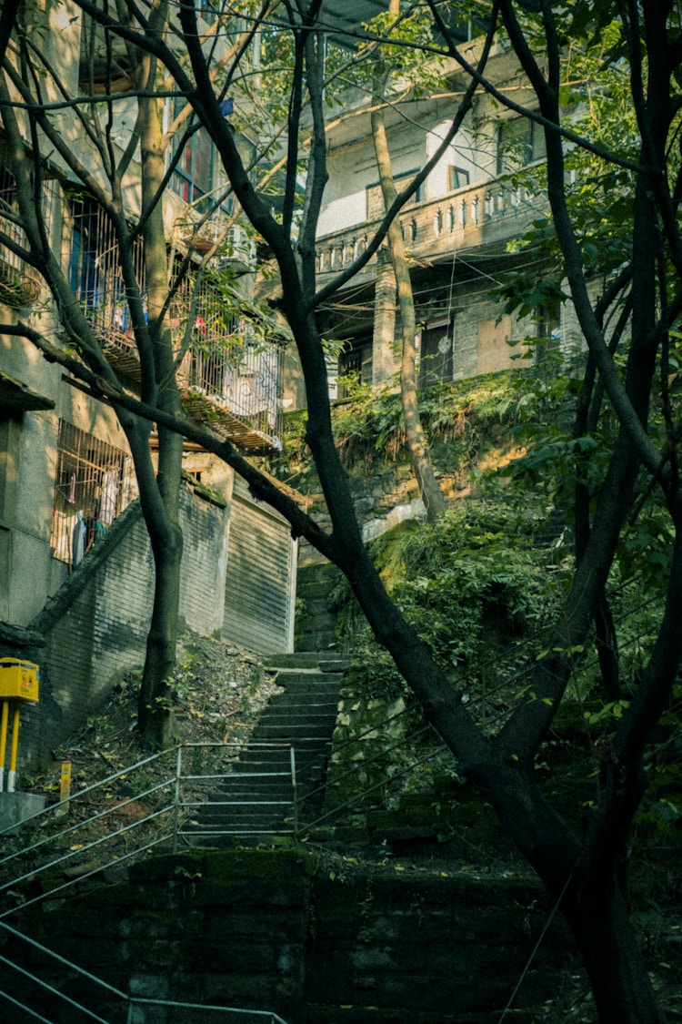 重庆五和旅游景点介绍,重庆和五岳投资(集团)有限公司插图