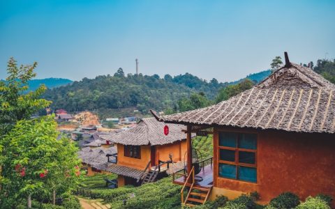 泰国旅游遇难2019,泰国旅游受伤事件