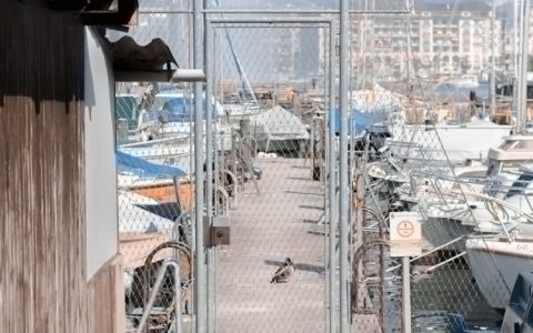 从横琴口岸怎样到澳门,从横琴口岸到澳门最佳旅游线路图