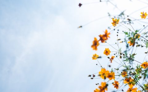 日照周边游游玩攻略,日照周围的旅游景点推荐