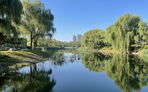 山东淮坊有什么好吃的,山东潍坊旅游景点大全