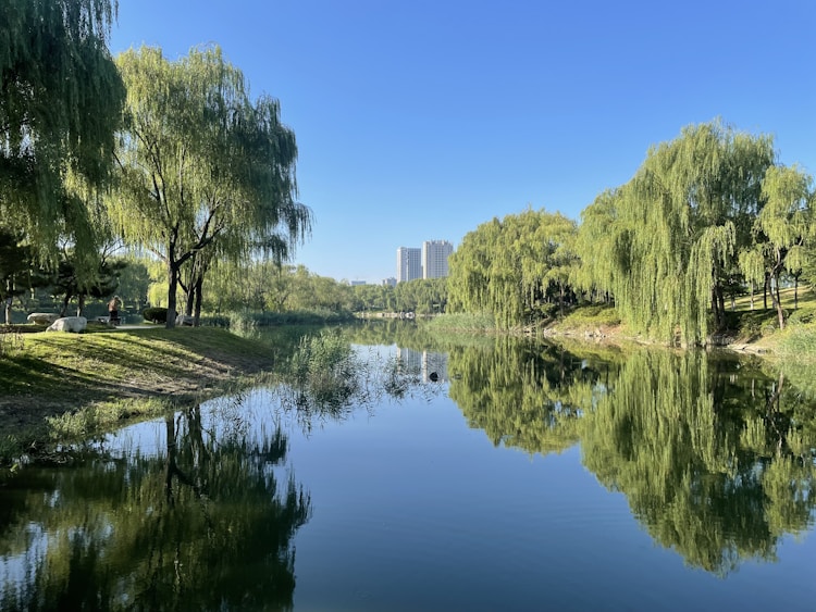 山东淮坊有什么好吃的,山东潍坊旅游景点大全插图