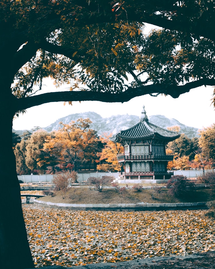 景福宫游记,景福宫门票插图