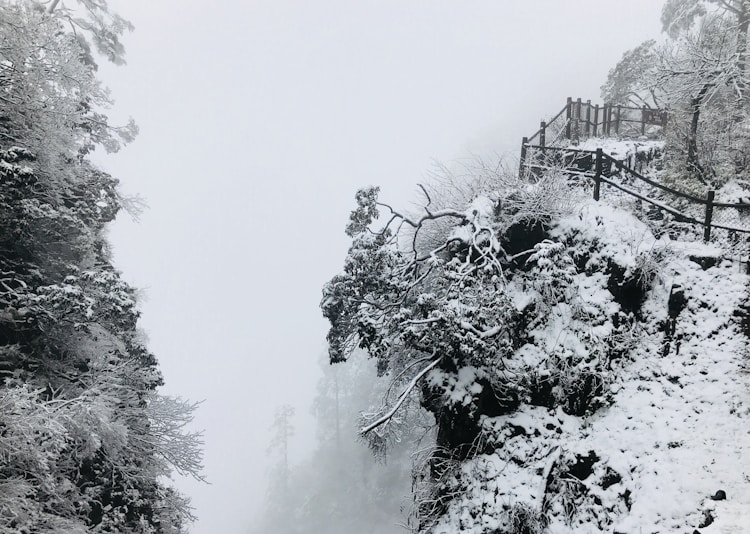 乐山市全域旅游,乐山全域旅游景点插图