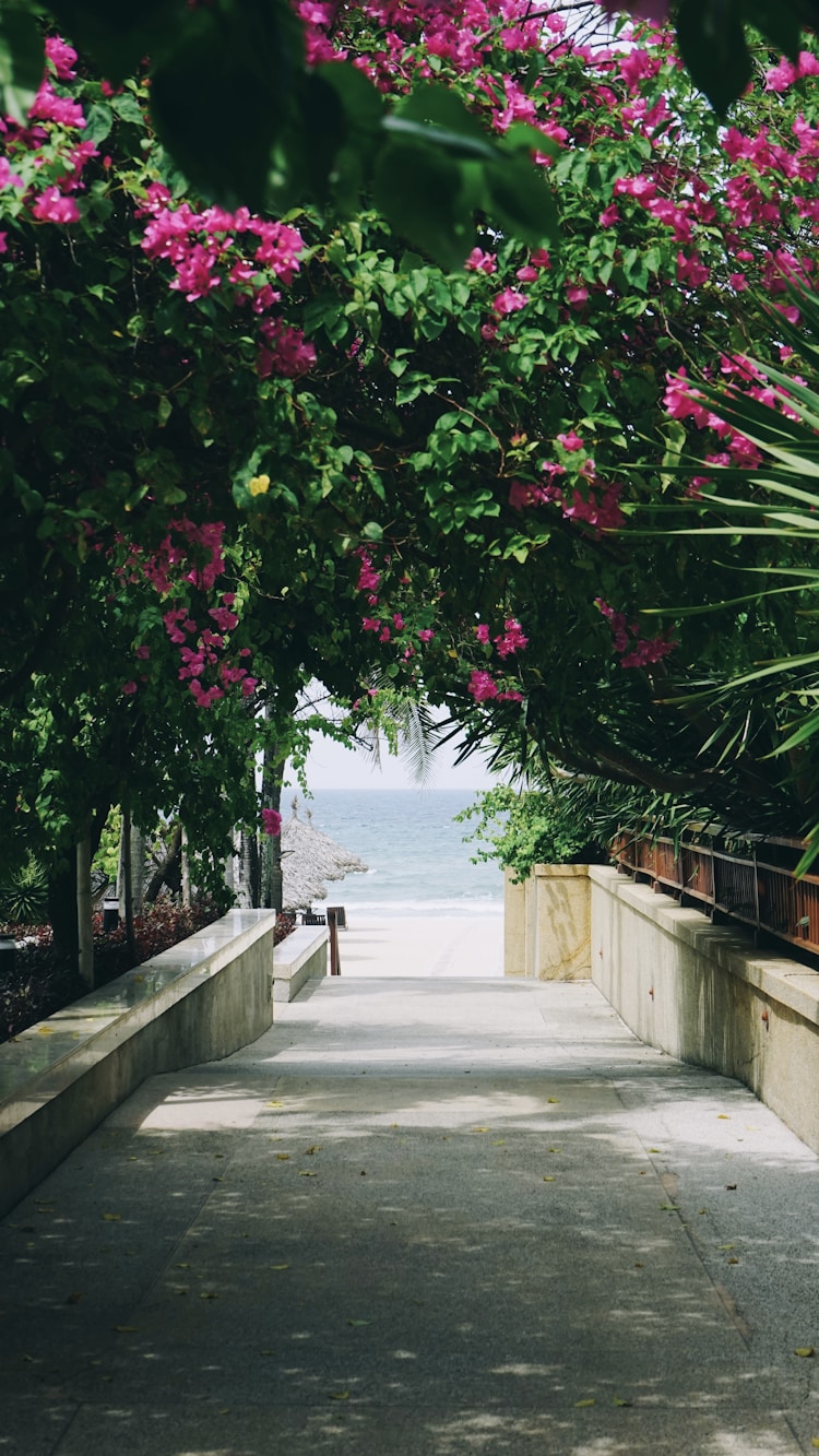 越南岘港旅游景点排名,越南岘港旅游价格插图